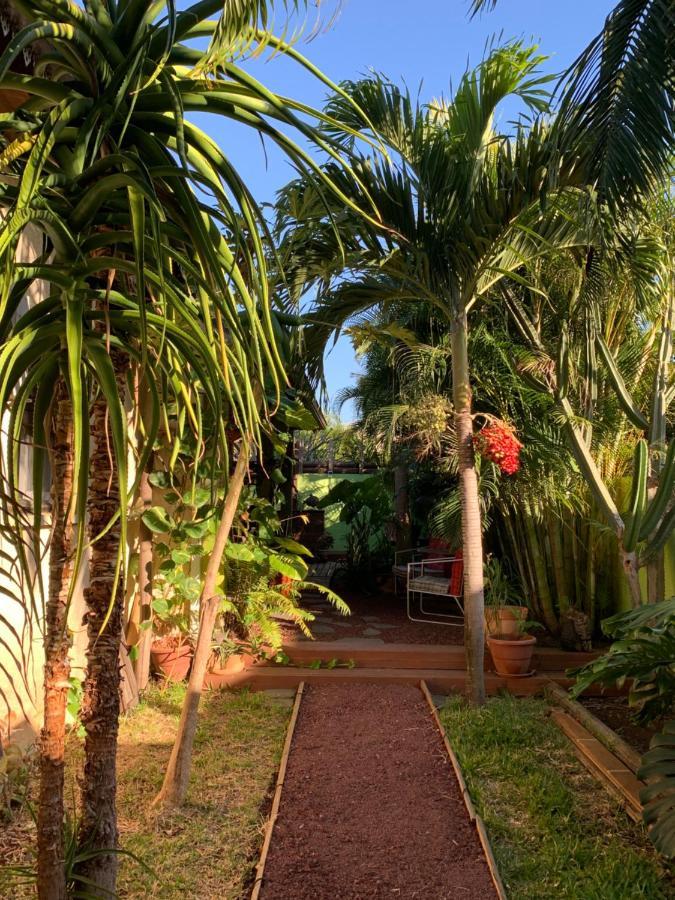 Le Dodo Sale Apartman Étang-Salé les Bains Kültér fotó